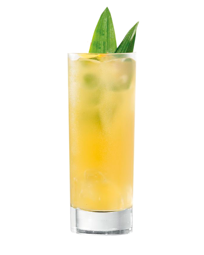  Malibu